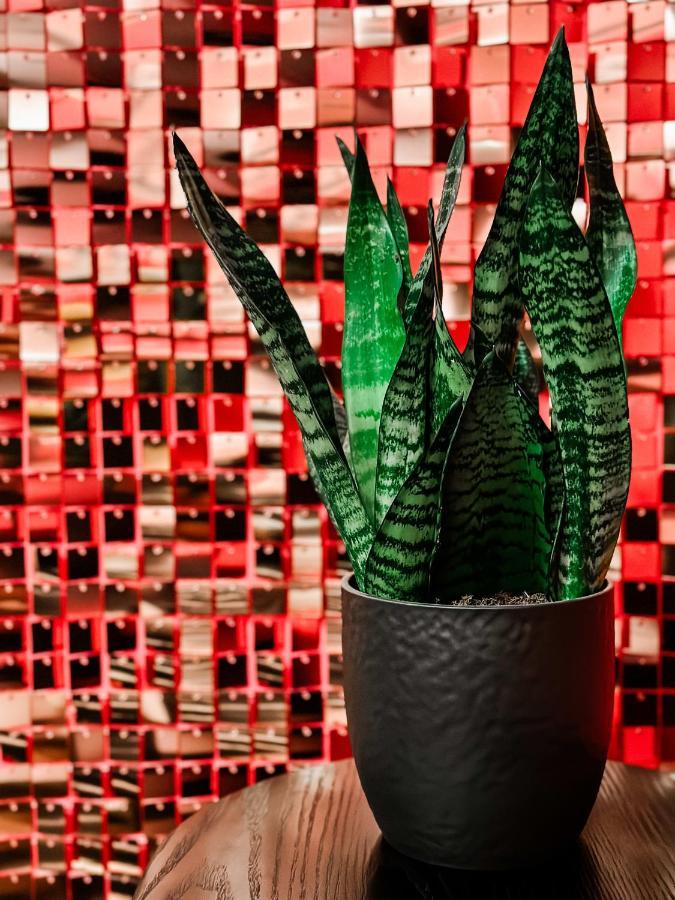 Dolly'S Glam Getaway - Glittering Gem Near Broadway Villa Нашвил Екстериор снимка